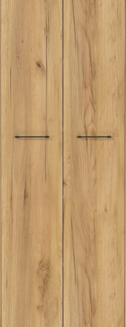 Aktenschrank Robert 196 cm 2 Türen - Anthrazit/Eiche