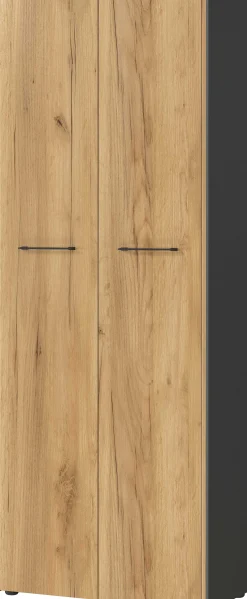 Aktenschrank Robert 196 cm 2 Türen - Anthrazit/Eiche