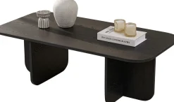 Couchtisch Akira - 100% MELAMINE - Holzschwarz - 41 x 60 x 120 cm