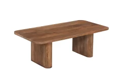 Couchtisch Aspinall | 120 x 60 x 40 cm | Mangoholz