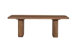 Couchtisch Aspinall | 120 x 60 x 40 cm | Mangoholz