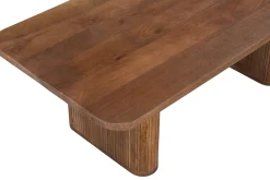 Couchtisch Aspinall | 120 x 60 x 40 cm | Mangoholz