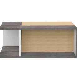 Couchtisch Cleo - Beton/Eiche