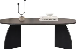 Couchtisch Melina - 100% MELAMINE - Holzschwarz - 40 x 60 x 120 cm