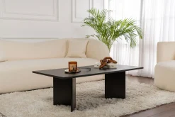 Couchtisch Sabin - 100% MELAMINE - Holzschwarz - 40 x 60 x 119 cm