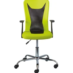 Drehstuhl Donny ergonomische Rückenlehne - grün