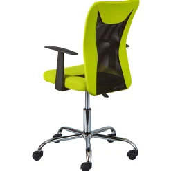 Drehstuhl Donny ergonomische Rückenlehne - grün