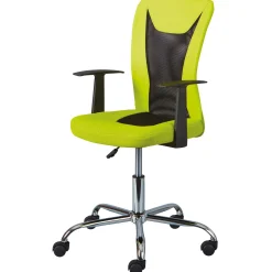 Drehstuhl Donny ergonomische Rückenlehne - grün