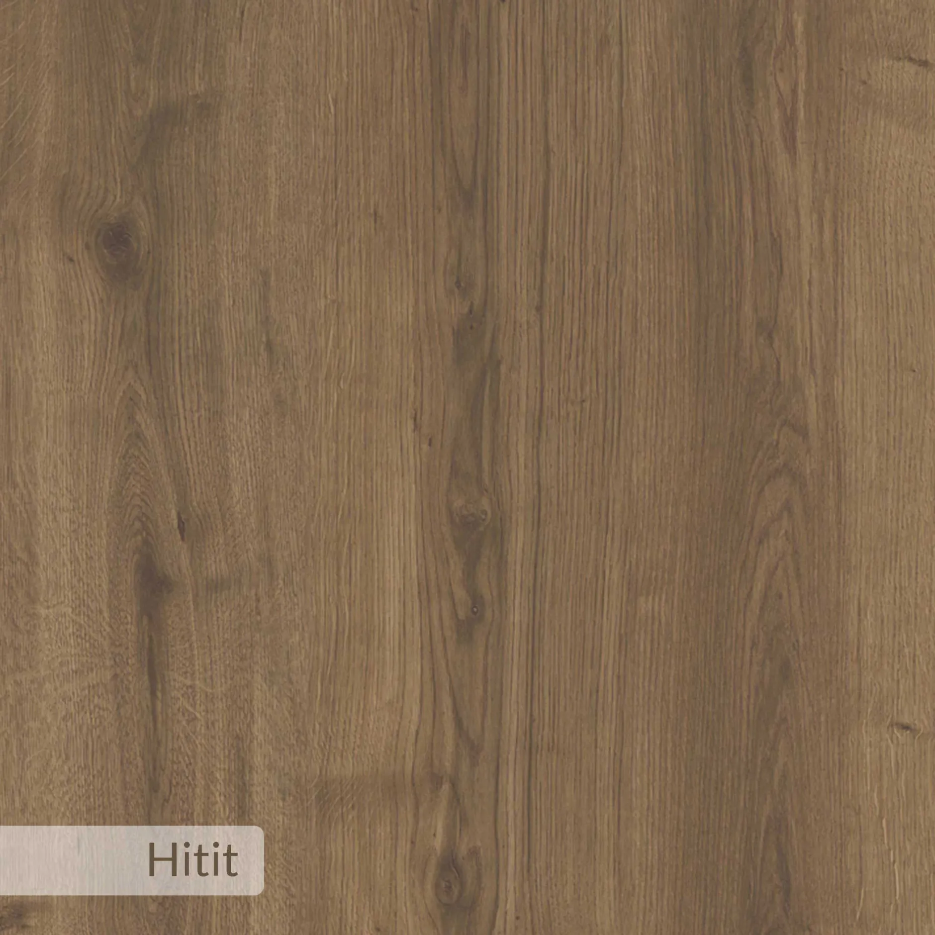 Dude Schuhschrank | 100 % MELAMIN | Hitit