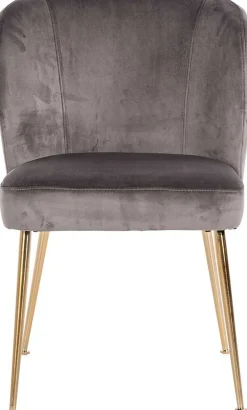 Esszimmerstuhl Cannon velvet - grau/gold