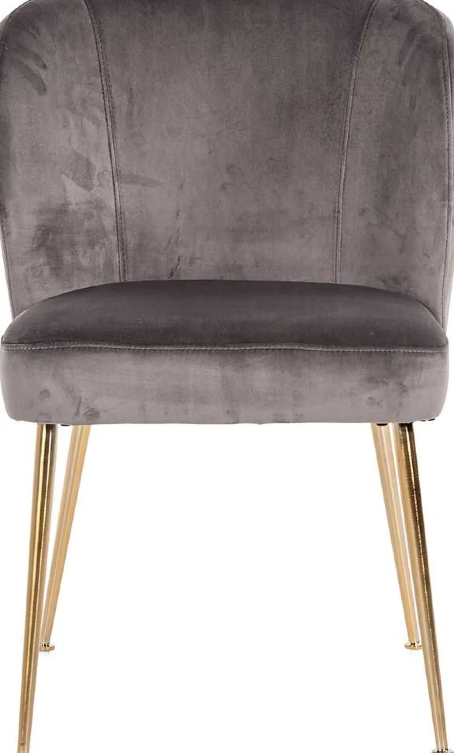 Esszimmerstuhl Cannon velvet - grau/gold