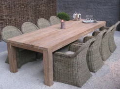 Gartentisch Darwin gescova - Teakholz 300x110 cm braun