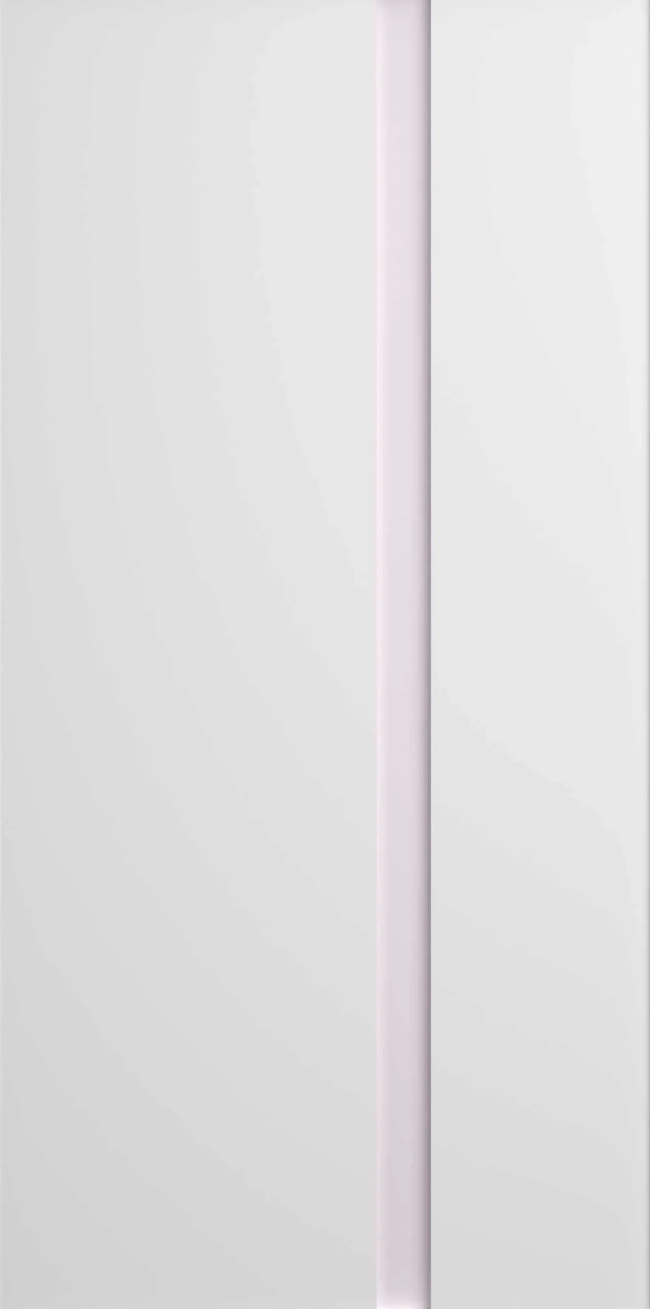 Kleiderschrank Rue mit 2 Türen - weiß/grau oder weiß/rosa