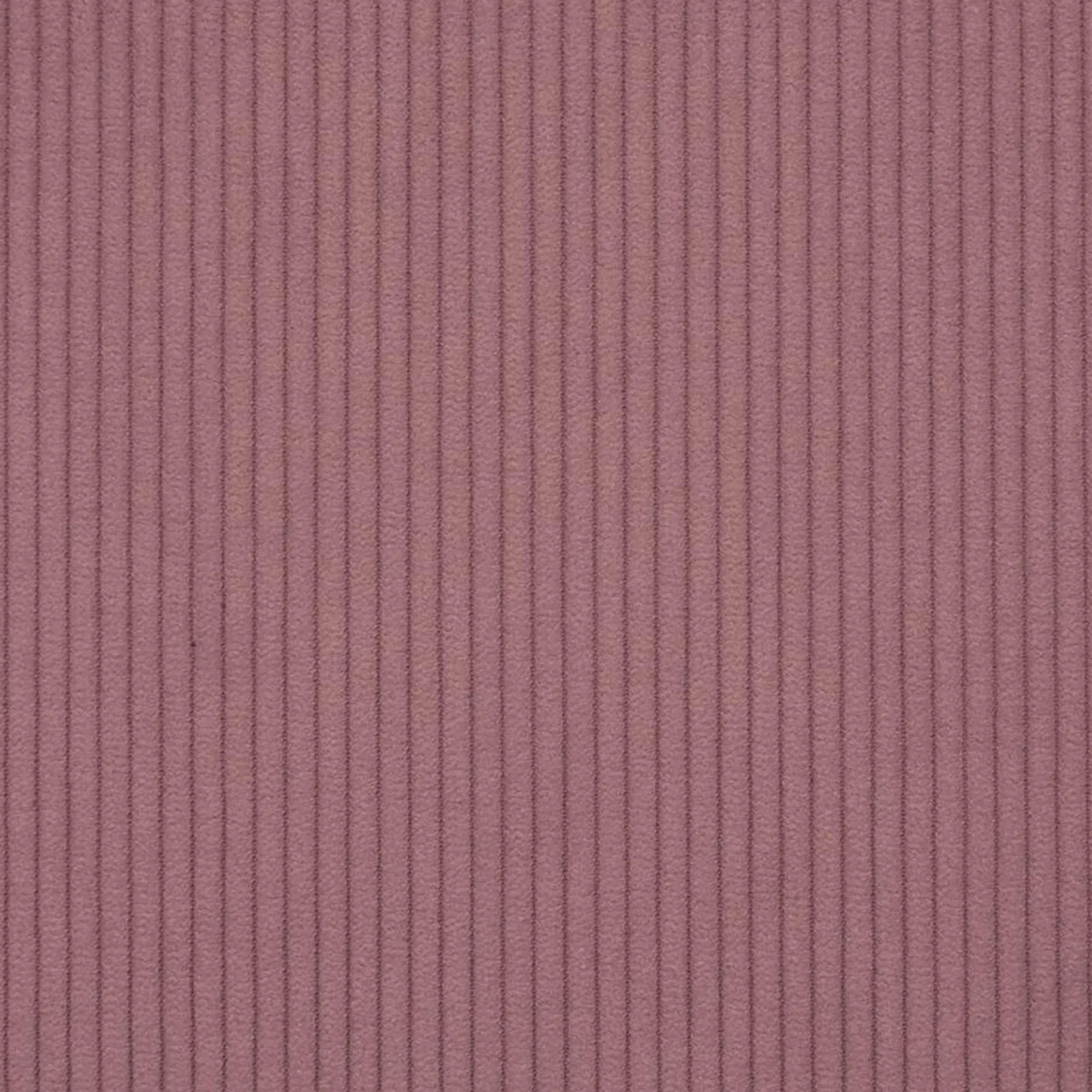 Kofferbett Cool | Mit Rückenlehne | 120 x 200 cm | Rosa Design