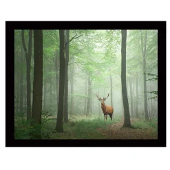 Marvellous Dekoratives gerahmtes MDF-Gemälde | Holzrahmen | 41 x 56 cm