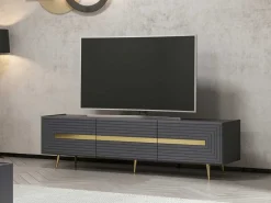 Modisches TV-Element Woody - Anthrazit Gold