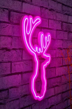 Neon Graph Dekorative LED-Beleuchtung aus Kunststoff | Rosa | 21 x 34 x 2 cm
