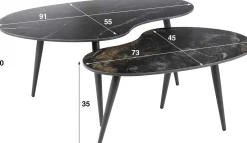 Nierenförmiger Fossil Couchtisch 2er Set - Schwarze Keramikplatte