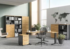 Osmond 80cm Aktenschrank mit 2 Türen - Eiche/Graphit