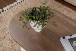 Sable Couchtisch | 100 % MELAMIN | Walnuss, Weiß