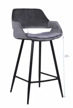 Satz von 2 Barhockern Erika 65cm - grau