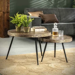 Satz von 2 Couchtischen Pomi - Bronze antik