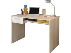 Schreibtisch Charly